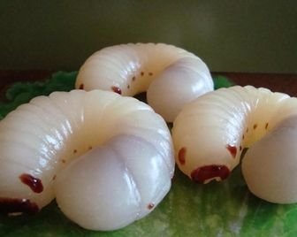 Японская кофейня подаёт кофе с гусеницами