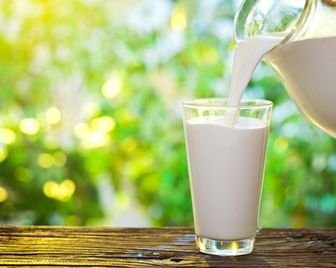 Учёные в одном шаге от изобретения искусственного молока