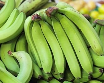 Ученые советуют есть незрелые бананы