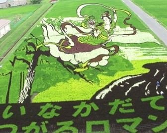 Картины на рисовых полях Японии
