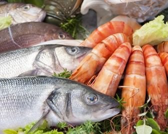 В Санкт-Петербурге состоится фестиваль рыбы